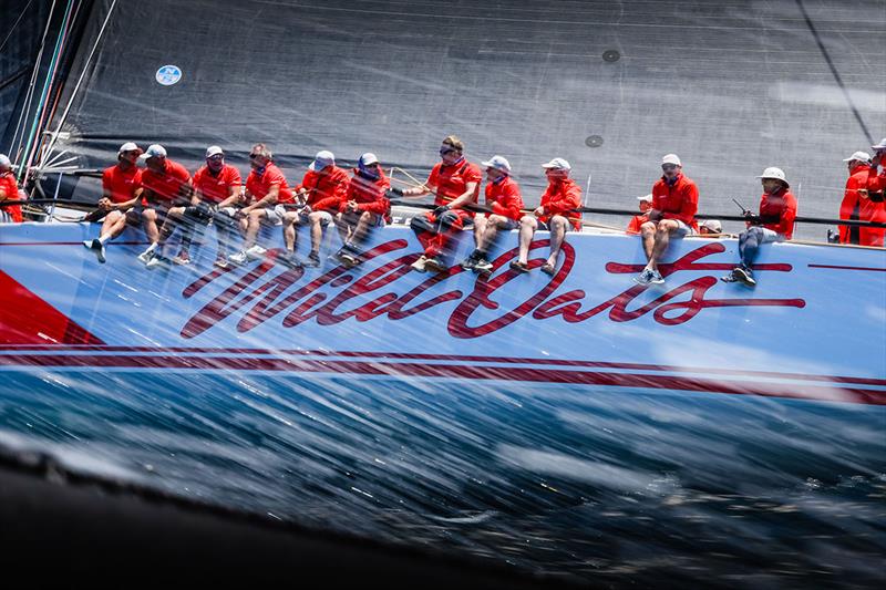 Hamilton Island Wild Oats - 9 time Rolex Sydney Hobart line honours winner photo copyright Salty Dingo taken at Cruising Yacht Club of Australia and featuring the IRC class