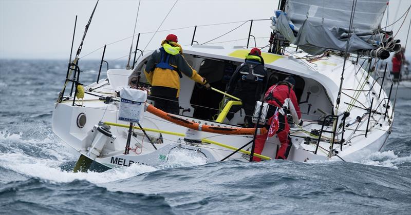 Lord Jiminy will be a boat to watch in the Cock of the Bay Yacht Race photo copyright Michael Currie taken at Ocean Racing Club of Victoria and featuring the IRC class