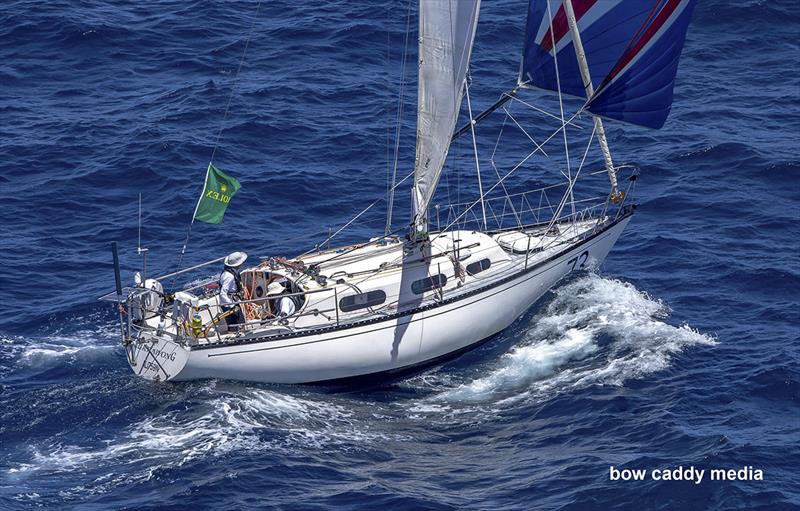 sydney hobart yacht race currawong