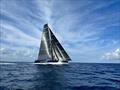 35th Pineapple Cup - Montego Bay Race © Julianna Barbieri