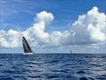 35th Pineapple Cup - Montego Bay Race © Julianna Barbieri