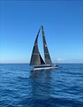 35th Pineapple Cup - Montego Bay Race © Julianna Barbieri