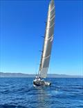 35th Pineapple Cup - Montego Bay Race © Julianna Barbieri