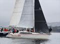 Two Capes Race - PHS winner Invincible © Colleen Darcey