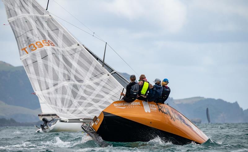 Bay of Islands Sailing Week - January 2023 photo copyright Lissa Reyden taken at Bay of Islands Yacht Club and featuring the IRC class