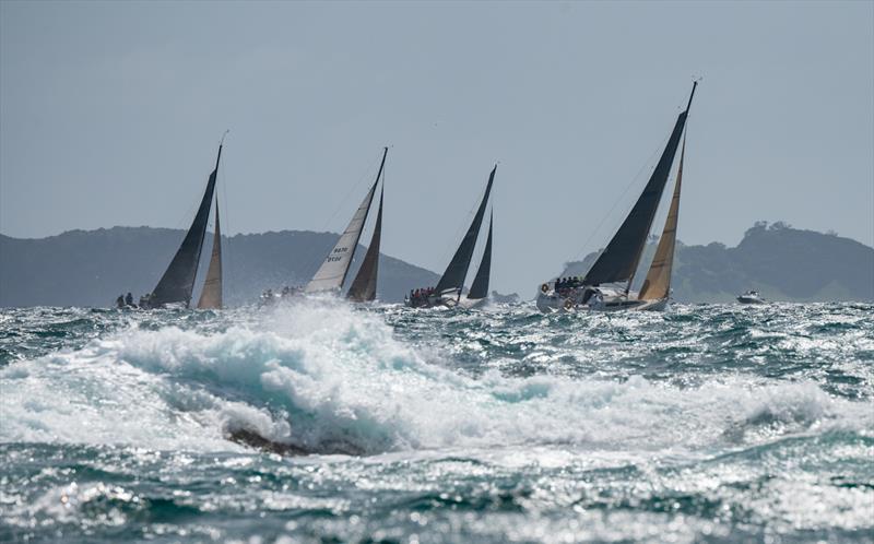 Bay of Islands Sailing Week - January 2023 photo copyright Lissa Reyden taken at Bay of Islands Yacht Club and featuring the IRC class