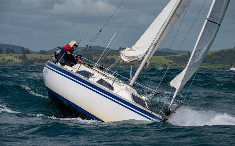 Bay of Islands Sailing Week - January 2023 photo copyright Lissa Reyden taken at Bay of Islands Yacht Club and featuring the IRC class