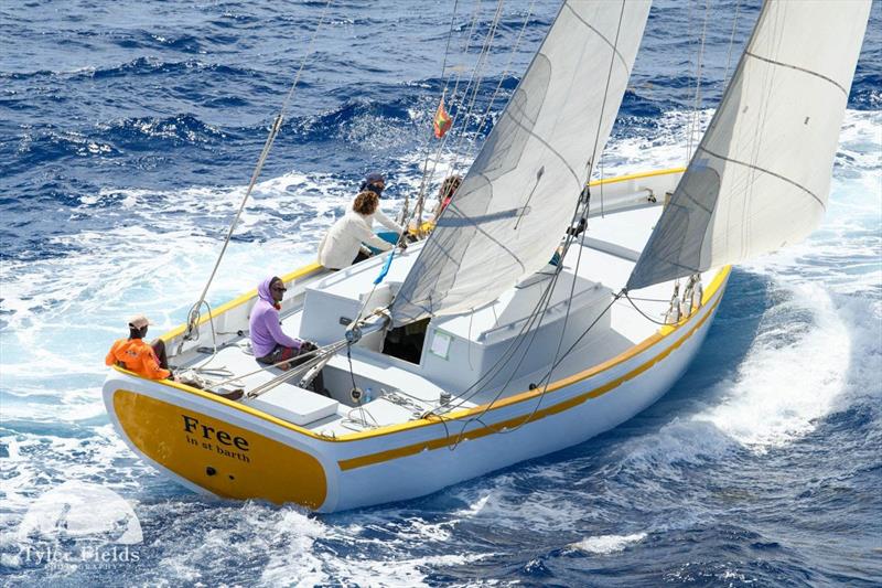 Free in St Barth traditional 43' sloop came second her in class - 2023 Antigua Classic Yacht Regatta photo copyright Tylex Fields taken at Antigua Yacht Club and featuring the IRC class