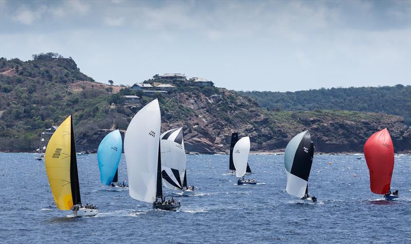 Class winners are emerging with one day to go at Antigua Sailing Week 2023 - photo © Paul Wyeth / www.pwpictures.com
