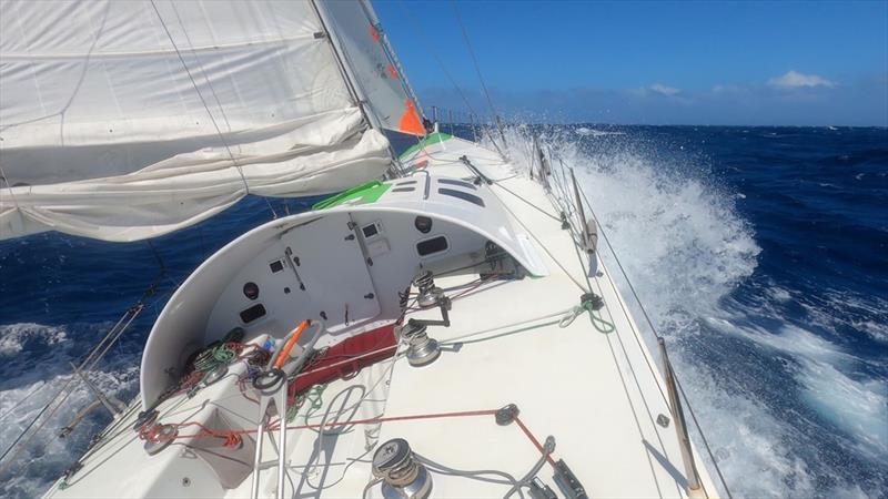 Global Solo Challenge photo copyright Sparrow Sailing taken at  and featuring the IRC class
