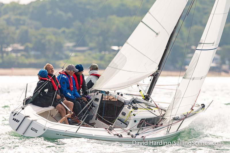 Woof, K9, H-Boat, during the 2023 Round the Island Race photo copyright David Harding / www.sailingscenes.com taken at Island Sailing Club, Cowes and featuring the IRC class