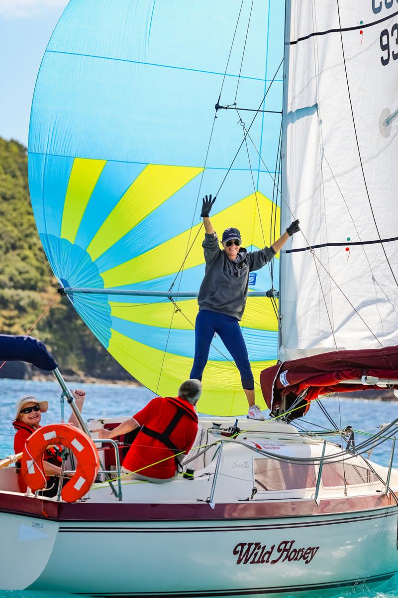 Hamilton Island Race Week - Wild Honey having fun in the sun photo copyright Salty Dingo taken at Hamilton Island Yacht Club and featuring the IRC class