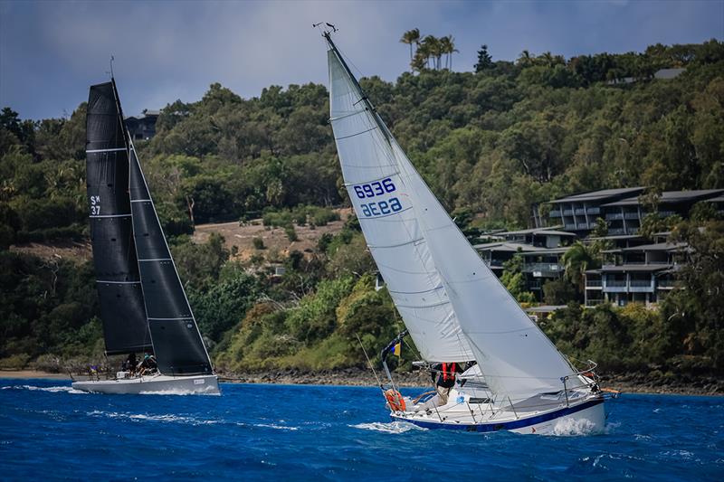 Hamilton Island Race Week - Halcyon trailable victor - photo © Salty Dingo