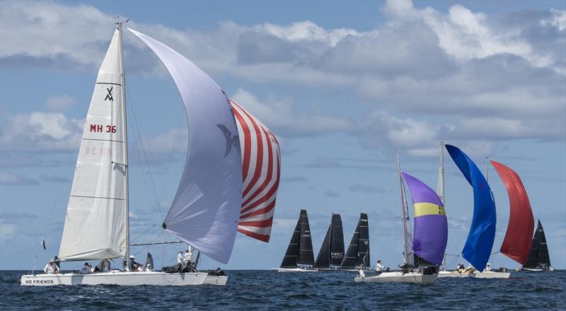 Divisions racing in the Sydney Harbour Sprint Series last year - photo © Marg Fraser-Martin