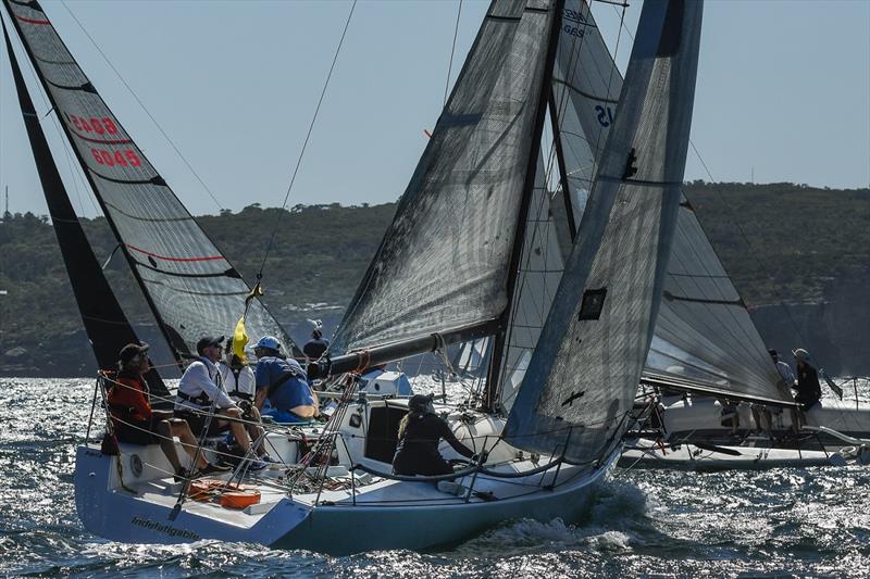 Sydney Harbour Sprint Series prompts high action sailing - photo © Marg Fraser-Martin