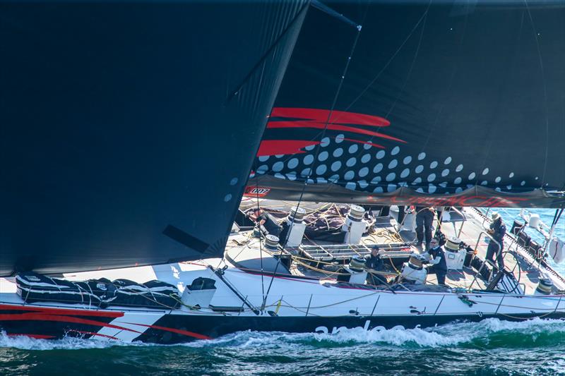 Andoo Comanche during the 2023 Tollgate Islands Race - photo © CYCA Media