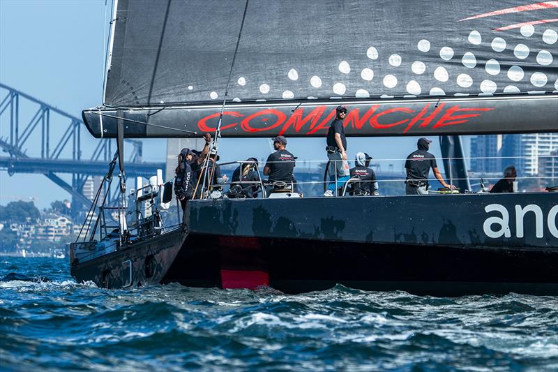 2023 Bird Island Race - photo © Ashley Taylor Dart