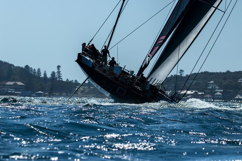 2023 Bird Island Race - photo © Ashley Taylor Dart