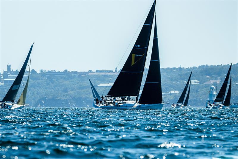 2023 Bird Island Race - photo © Ashley Taylor Dart