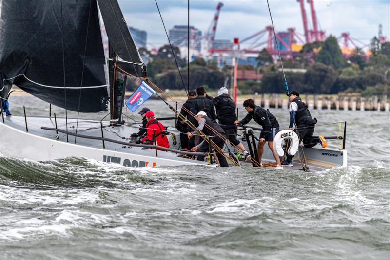 sandringham yacht club race results