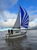 Liverpool Yacht Club Brass Monkey Series © Susie Quinn