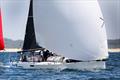 Bullwinkle at 2024 Sail Port Stephens Act II - Windward/Leeward © Promocean Media