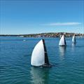 2024 Flinders Islet Race - Smuggler looking good at the start © High Impressions Media