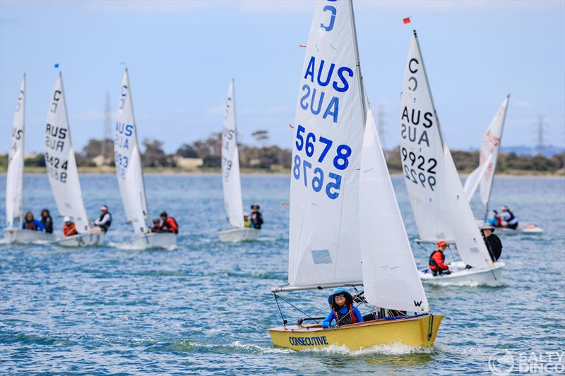 Cadets in full flight at the 2024 Festival of Sails photo copyright Salty Dingo taken at Royal Geelong Yacht Club and featuring the IRC class