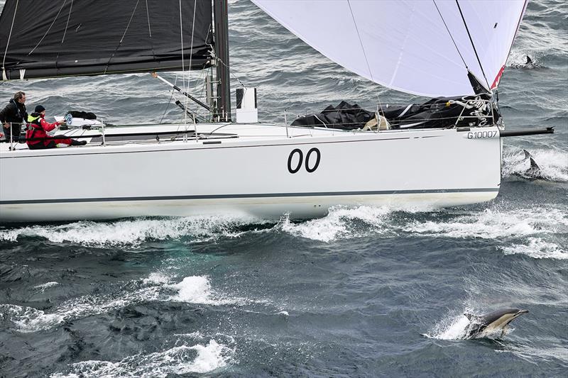 Dolphins join a yacht for the ride to Hobart - 2024 Rolex Sydney Hobart Yacht Race - photo © ROLEX | Carlo Borlenghi
