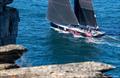 Wild Thing 100 passing North Head © Bow Caddy Media