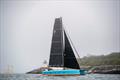 Calamity - Transatlantic Race 2025