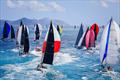HIRW 2023 fleet in fresh trade winds © Salty Dingo