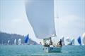 A scene from racing last year at SeaLink Magnetic Island Race Week