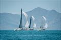 Downwind through a haze at SeaLink Magnetic Island Race Week