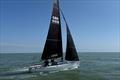 Flying Pig, winner - Summer Series at Royal Temple YC race 4