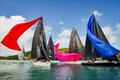 Hamilton Island Race Week © Salty Dingo