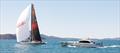 Palm Beach Motor Yachts Trans-Tasman 49ers Series © Palm Beach Motor Yachts