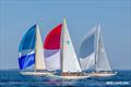 2025 Camden Classics Cup © Carol Chu