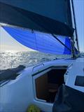 Spinnaker up and running on Cooloola - Sydney to Auckland Ocean Race