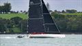 Lucky about to cross the finish line in Auckland - Finish Sydney Auckland Race - October 14, 2025