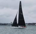 Lucky (USA) - Finish Sydney Auckland Race - October 14, 2025