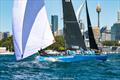 Botany Access are on top after the first weekend of racing at the LGT Wealth Management Australia Cup