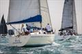 Dubai Offshore Sailing Club hosts Community Open Day © Dubai Offshore Sailing Club