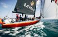 Start - PIC Coastal Classic - October 24, 2025 © Suellen Hurling