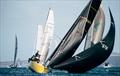 Wild Thing - Start - PIC Coastal Classic - October 24, 2025 © Suellen Hurling