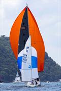 The regatta is for boats of all sizes - Pantaenius Pittwater Regatta