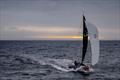 Min River (AUS) - JPK 1030 - Jiang Lin and Alexis Loison - Rolex Sydney Hobart Race - December 30, 2025