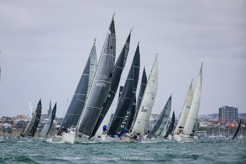 Festival of Sails 2025 - photo © Salty Dingo