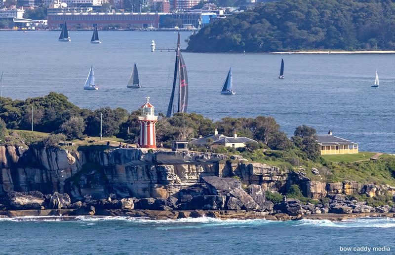 Wild Thing 100 sneaks towards South Head - photo © Bow Caddy Media