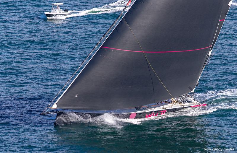 Wild Thing 100 passes North Head - photo © Bow Caddy Media